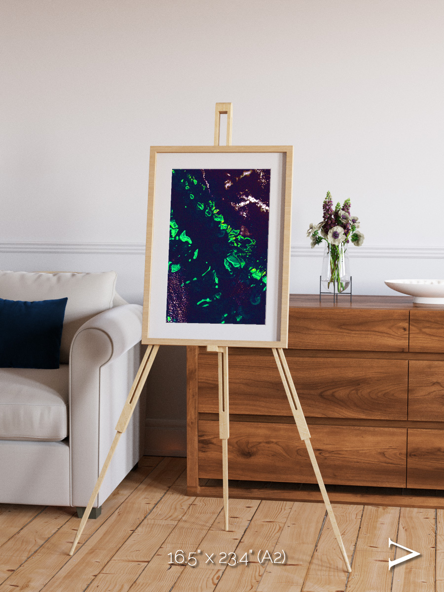 Patterned Ground, Great Barrier Reef Framed & Mounted Print