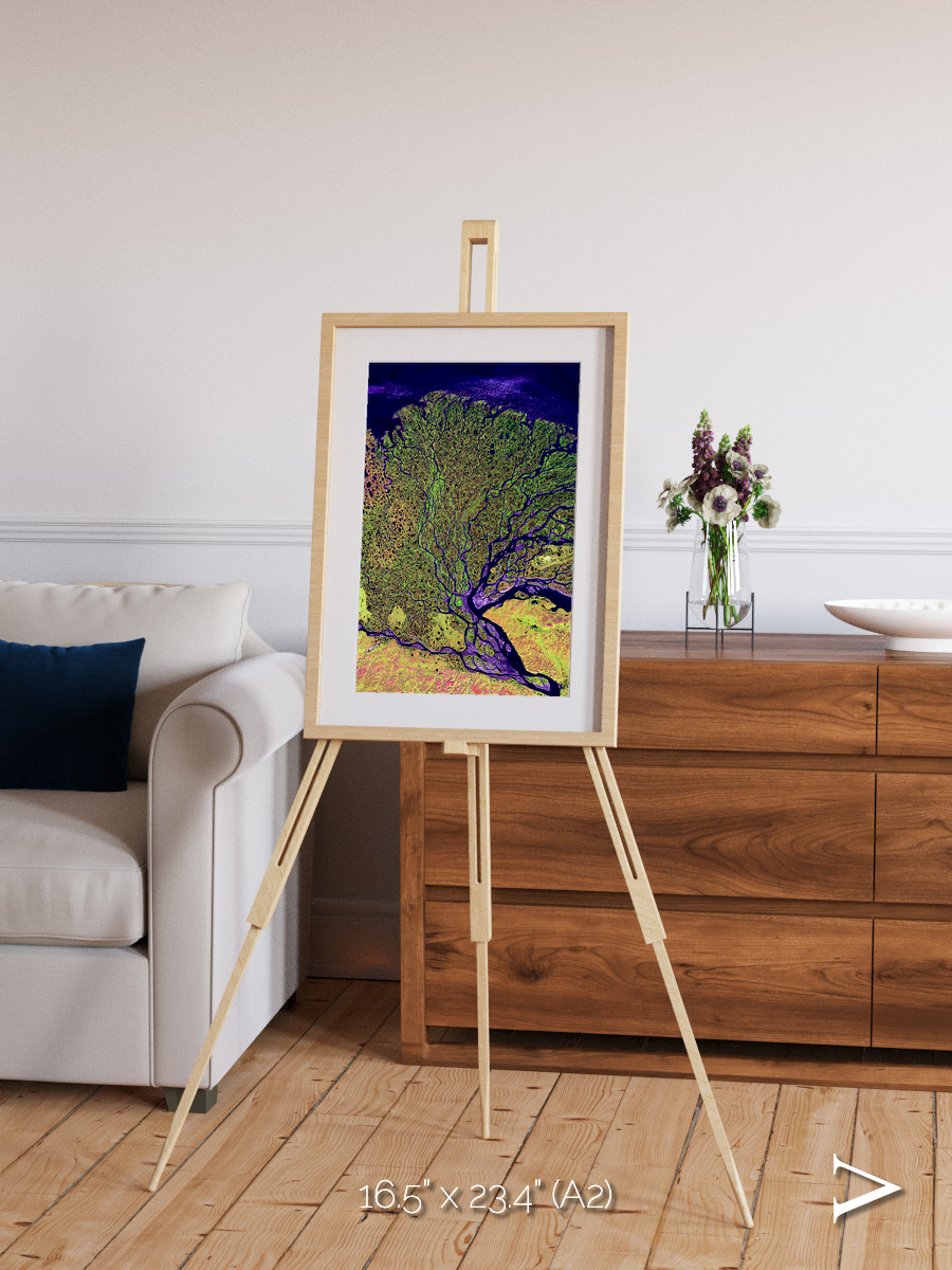 Delta Mosaic, Lena Delta Framed & Mounted Print