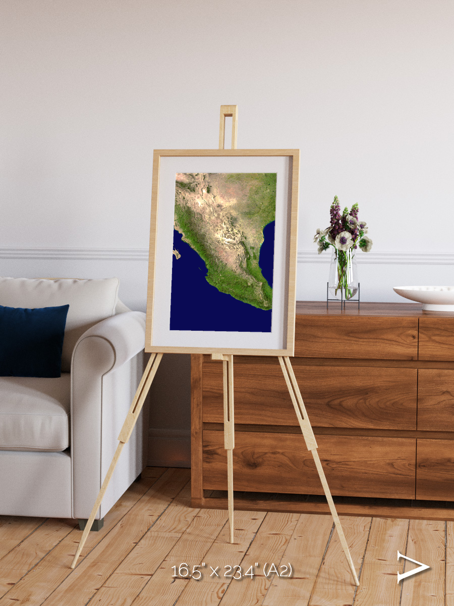 Windwritten Sands, Mexico and Central America Framed & Mounted Print