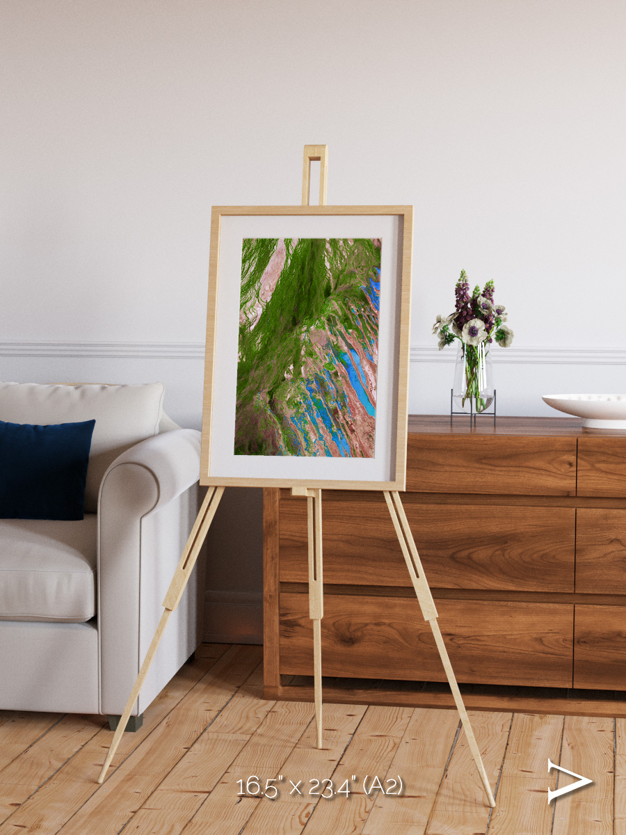 Desert Bloom, Lake Eyre Basin Framed & Mounted Print
