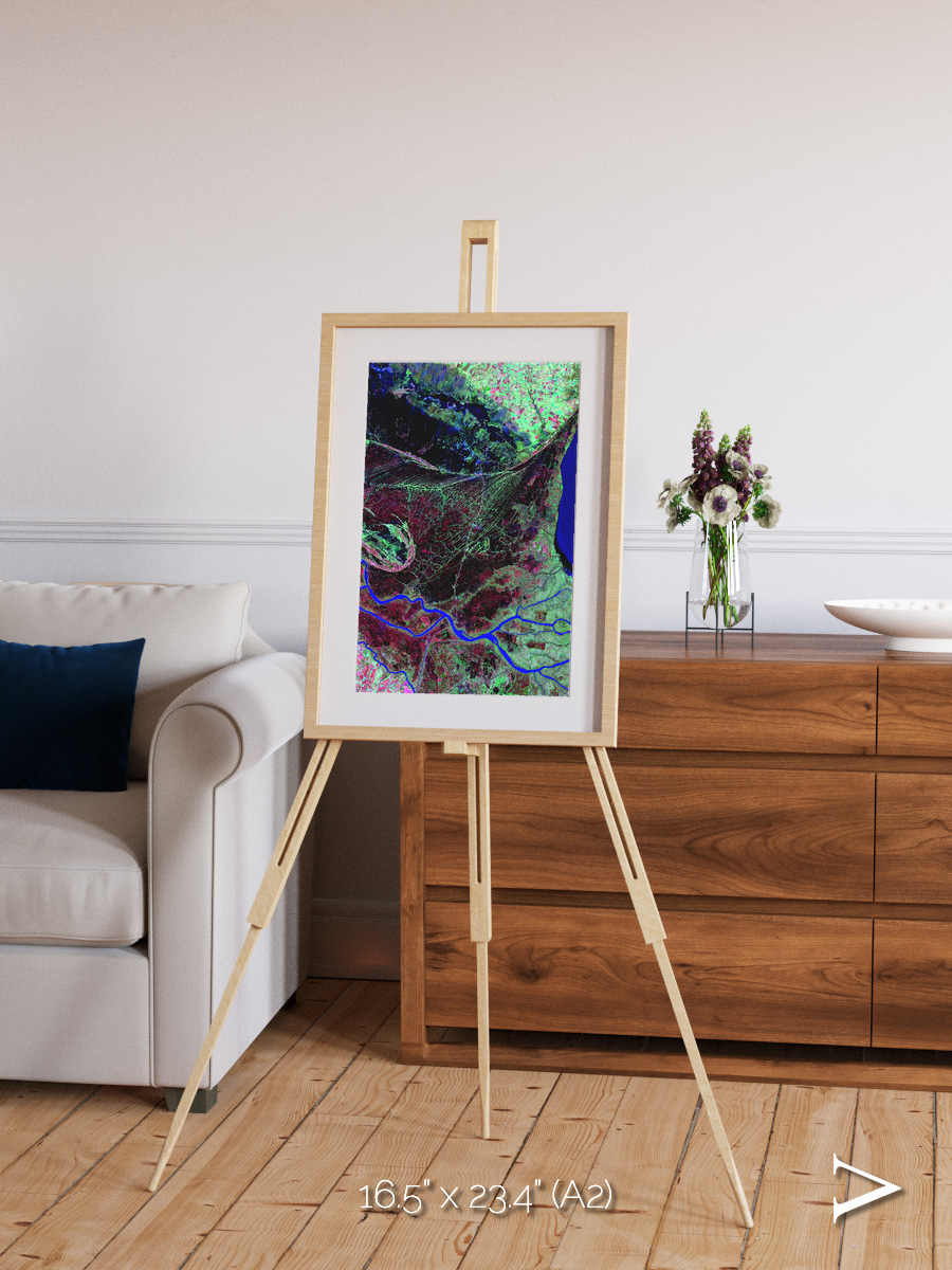 Braided Delta, Parana River Delta Framed & Mounted Print