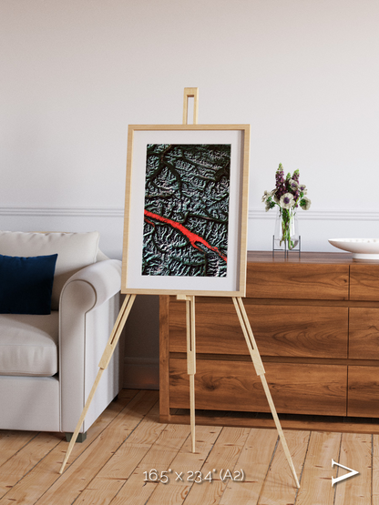 Light in the Trench, Canadian Rockies Framed & Mounted Print