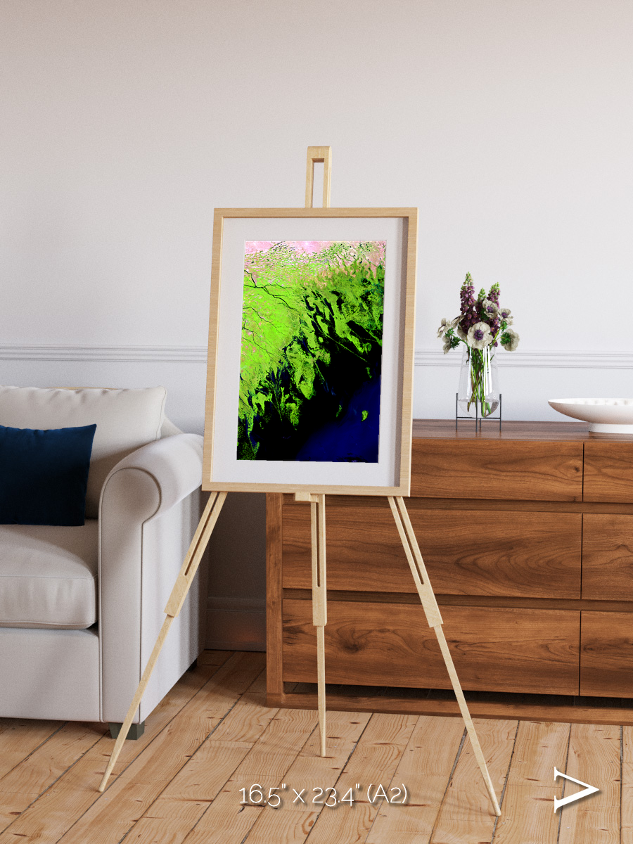 Delta Mosaic, Volga River Delta Framed & Mounted Print