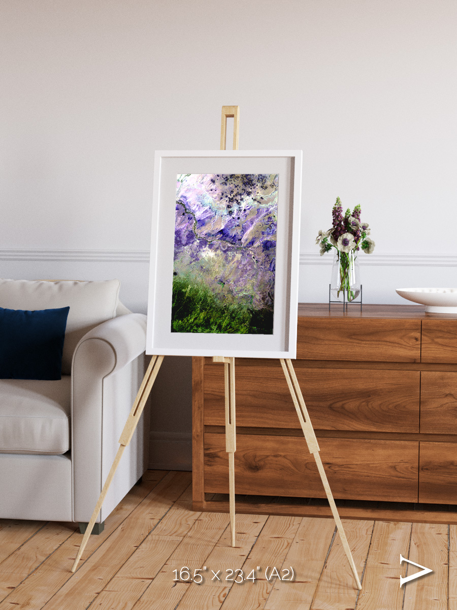 Arid Mosaic, Desert to Forest Framed & Mounted Print