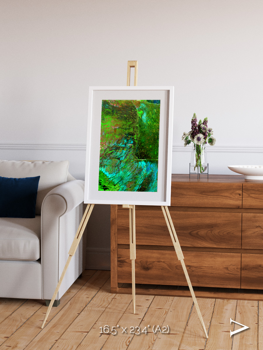 Linear Dunes, Florida Everglades Framed & Mounted Print