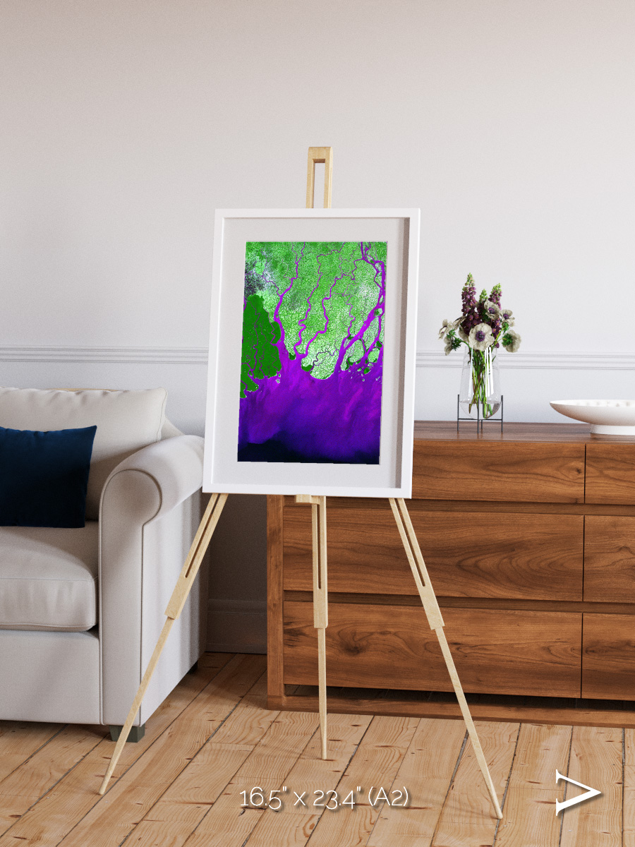 Delta Mosaic, Ganges River Delta Framed & Mounted Print