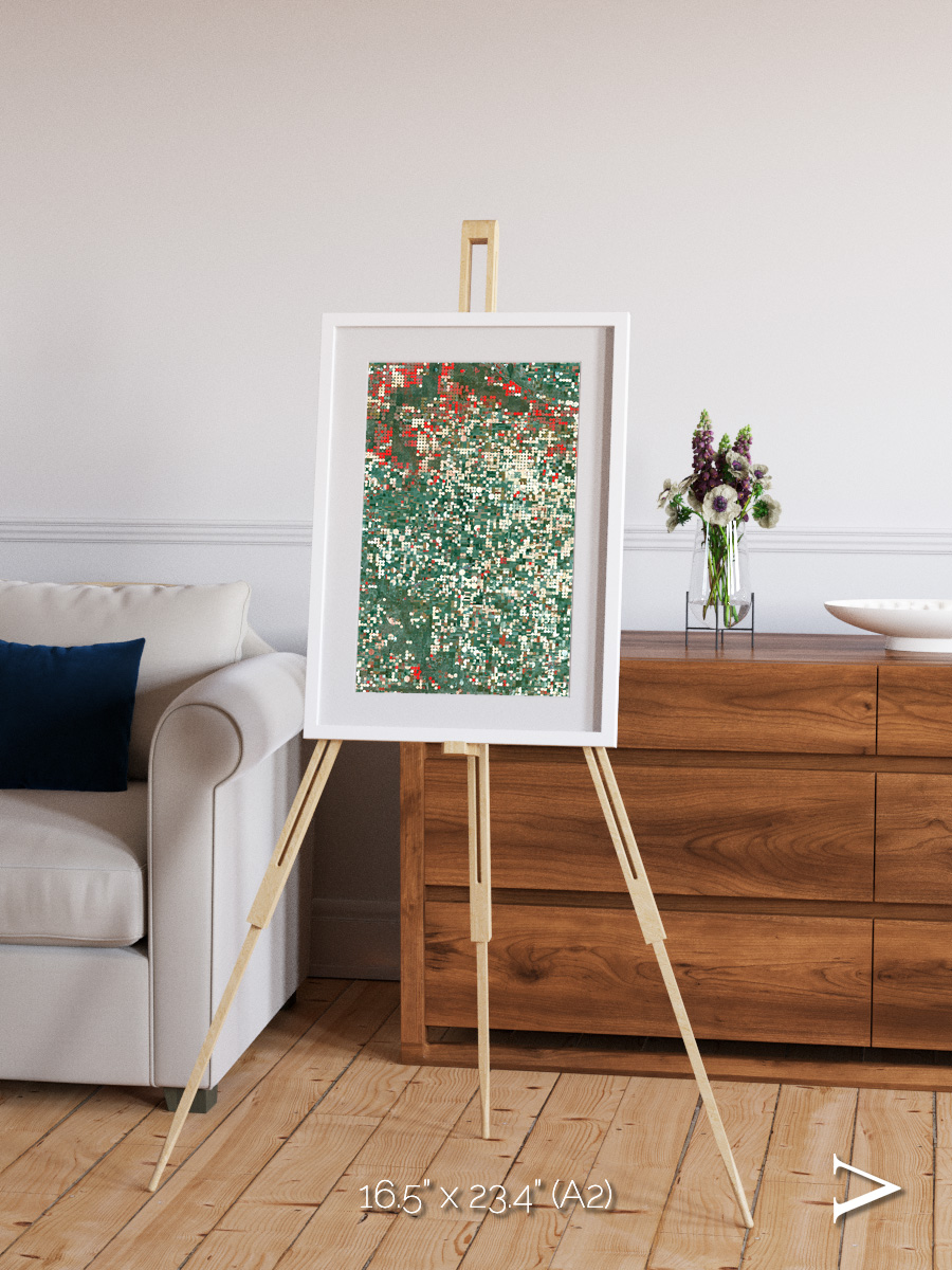 Patterns of Growth, Garden City Framed & Mounted Print