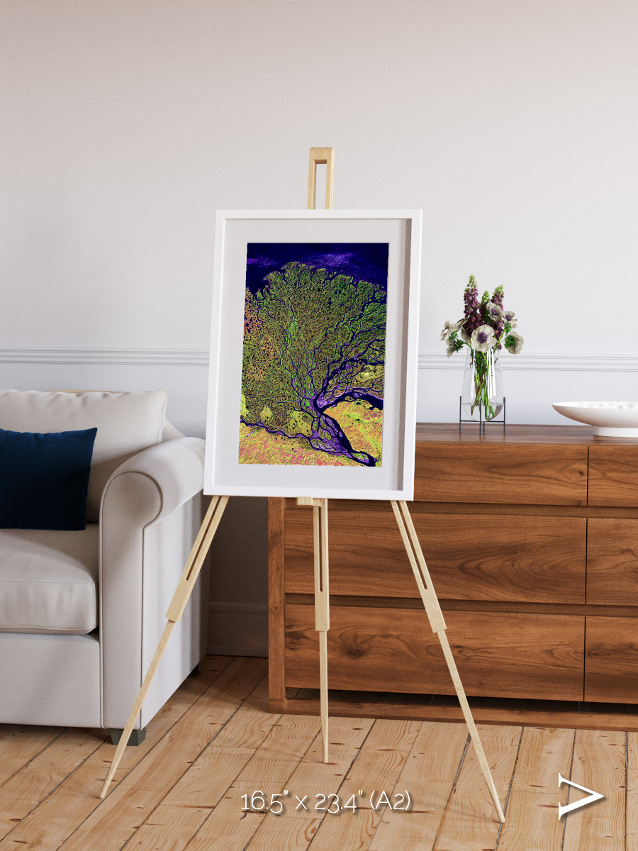 Delta Mosaic, Lena Delta Framed & Mounted Print