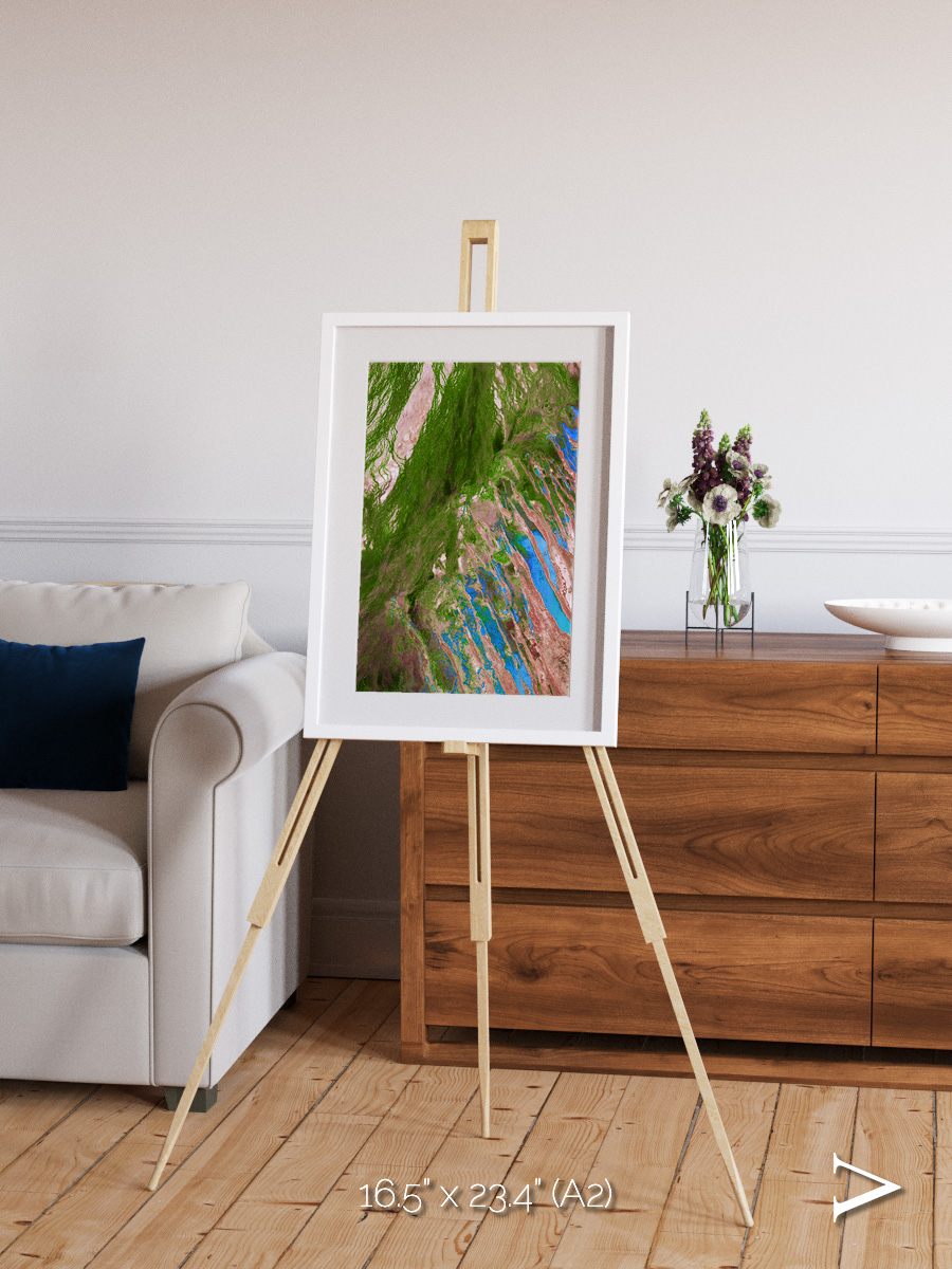 Desert Bloom, Lake Eyre Basin Framed & Mounted Print