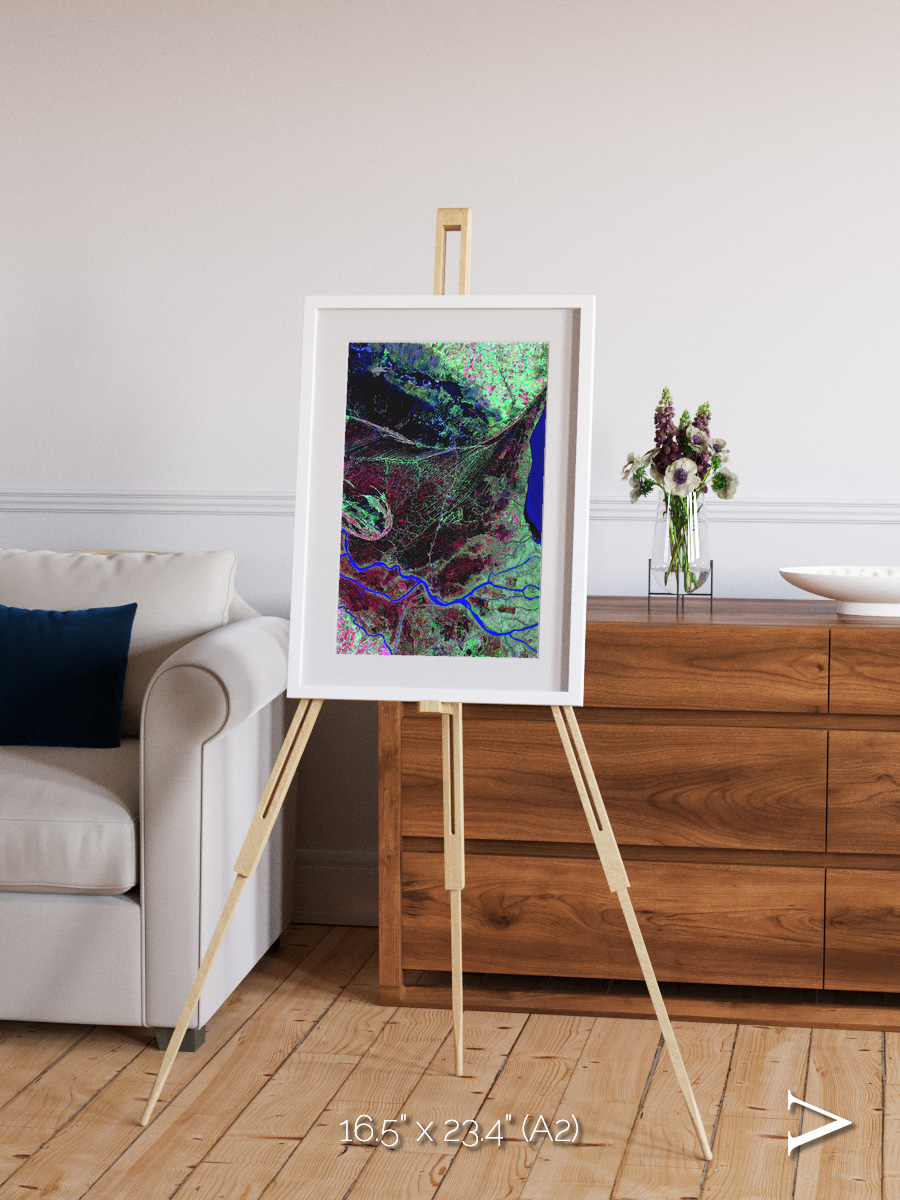 Braided Delta, Parana River Delta Framed & Mounted Print