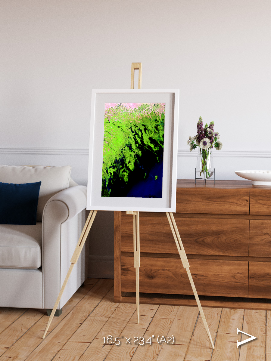 Delta Mosaic, Volga River Delta Framed & Mounted Print
