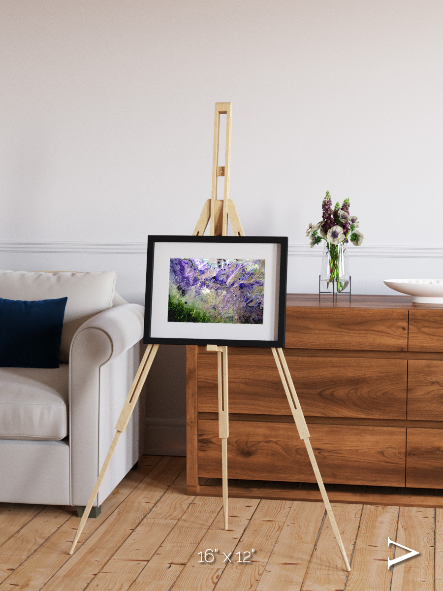 Arid Mosaic, Desert to Forest Framed & Mounted Print
