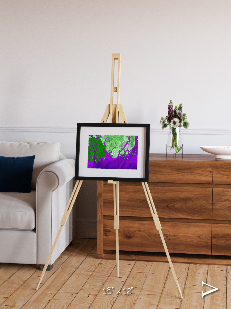 Delta Mosaic, Ganges River Delta Framed & Mounted Print