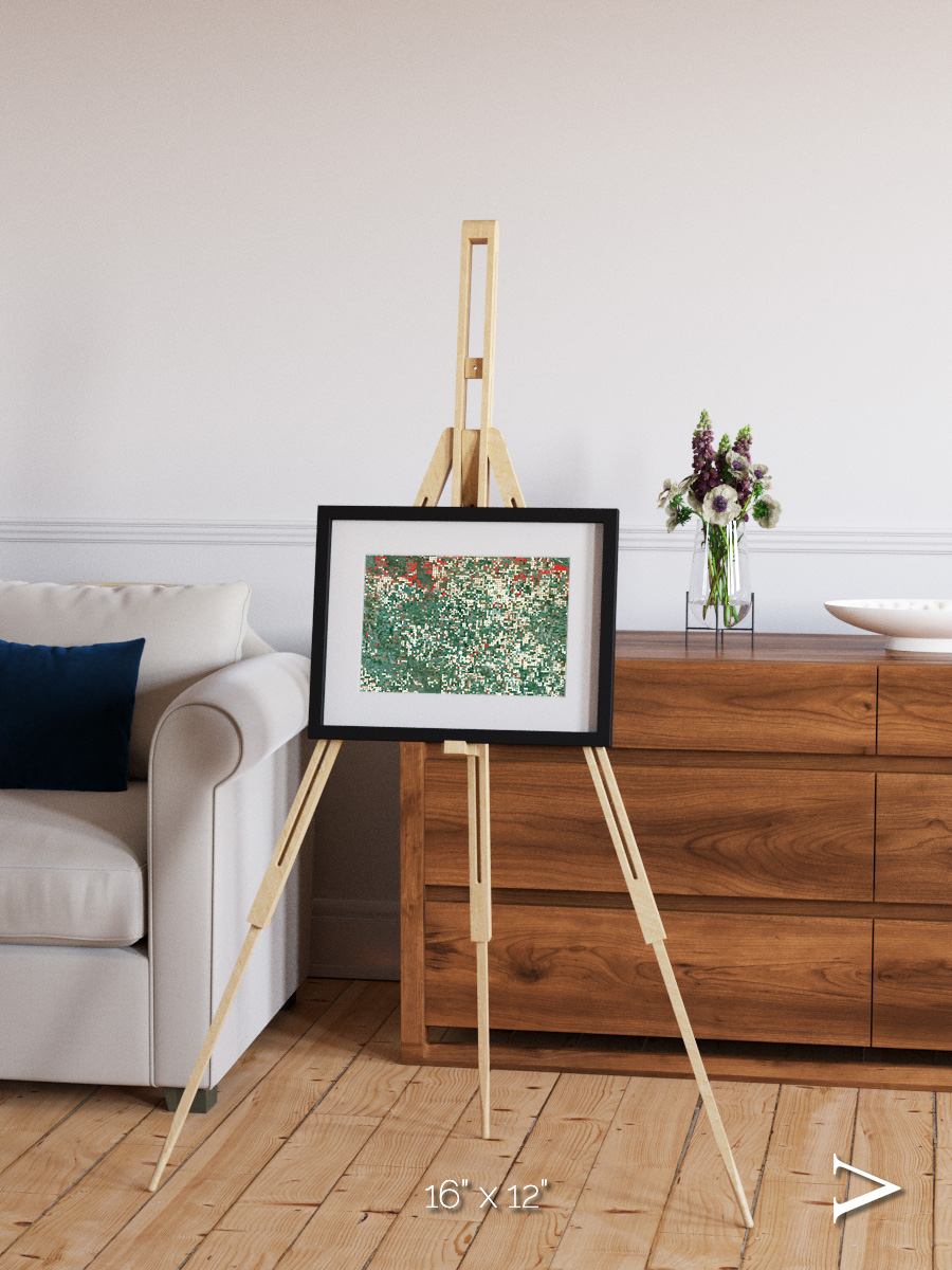 Patterns of Growth, Garden City Framed & Mounted Print