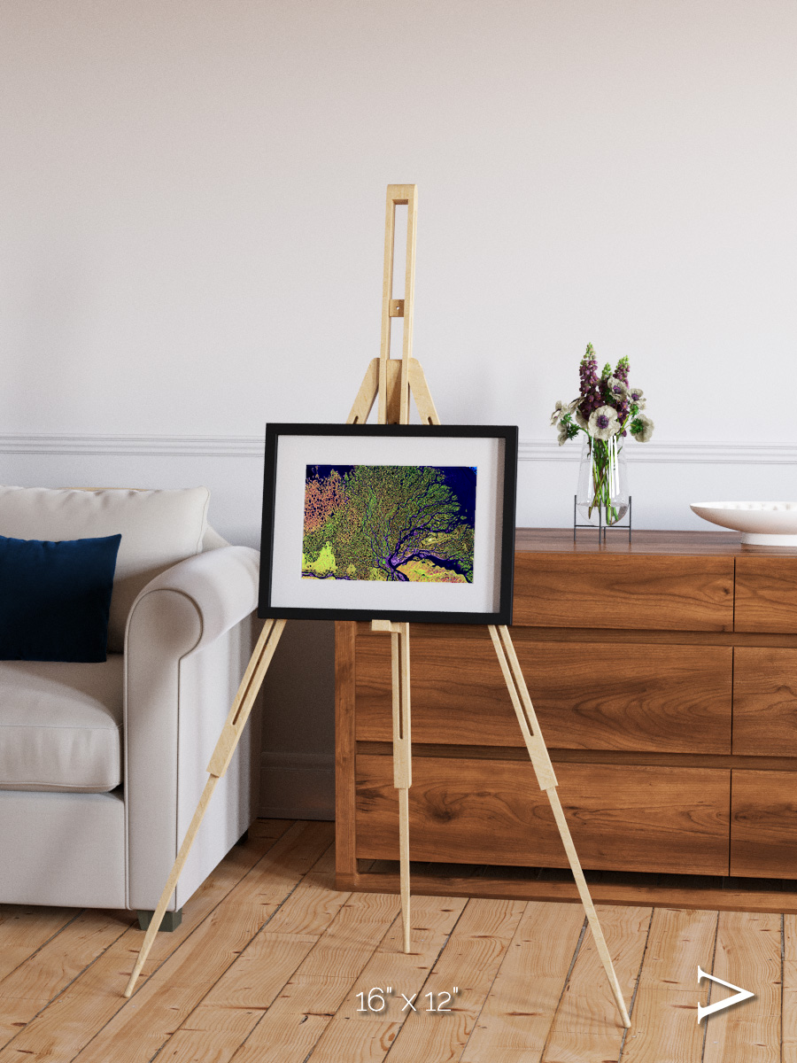 Delta Mosaic, Lena Delta Framed & Mounted Print