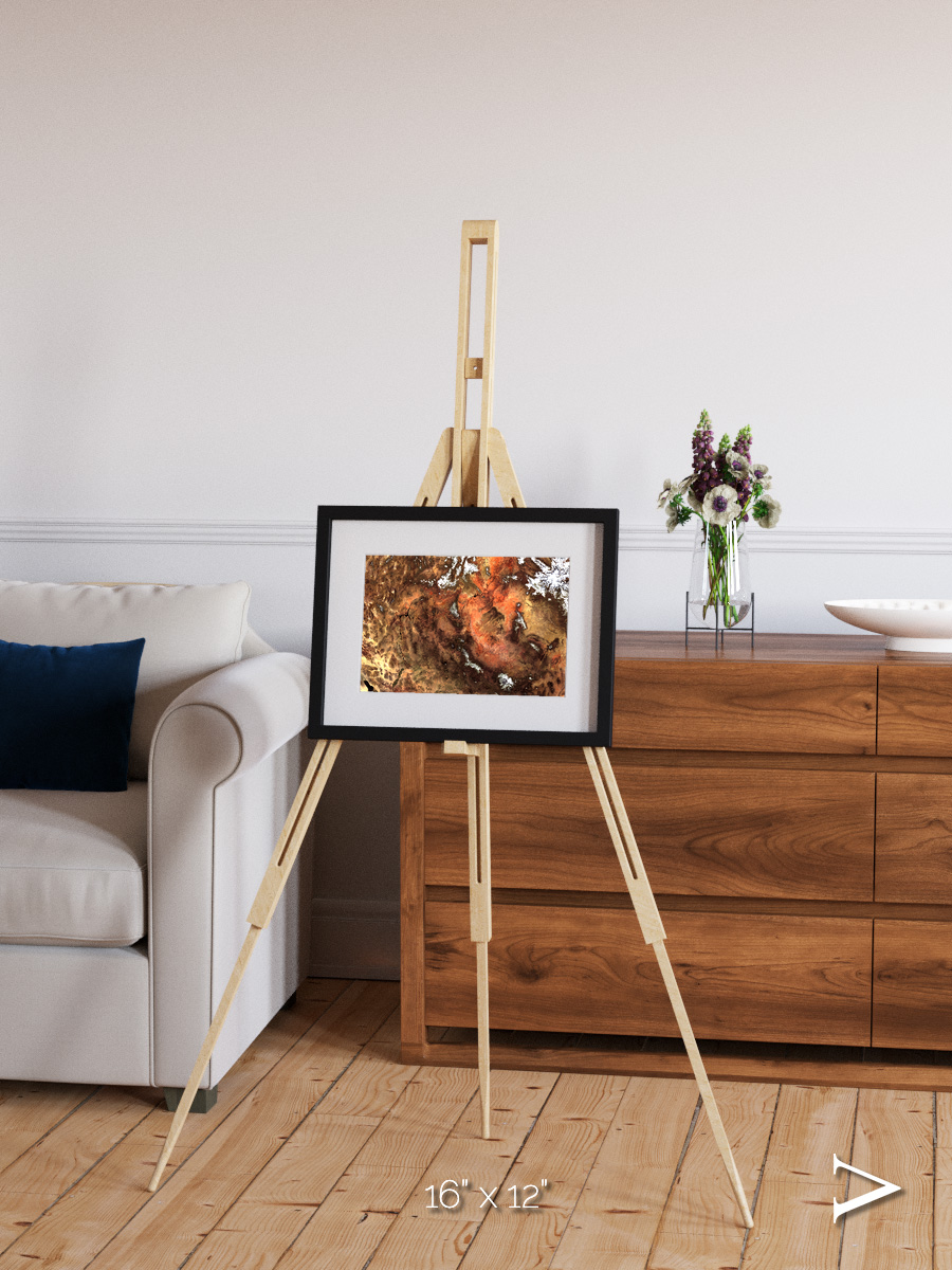 Sunlit Dunes, North America Framed & Mounted Print