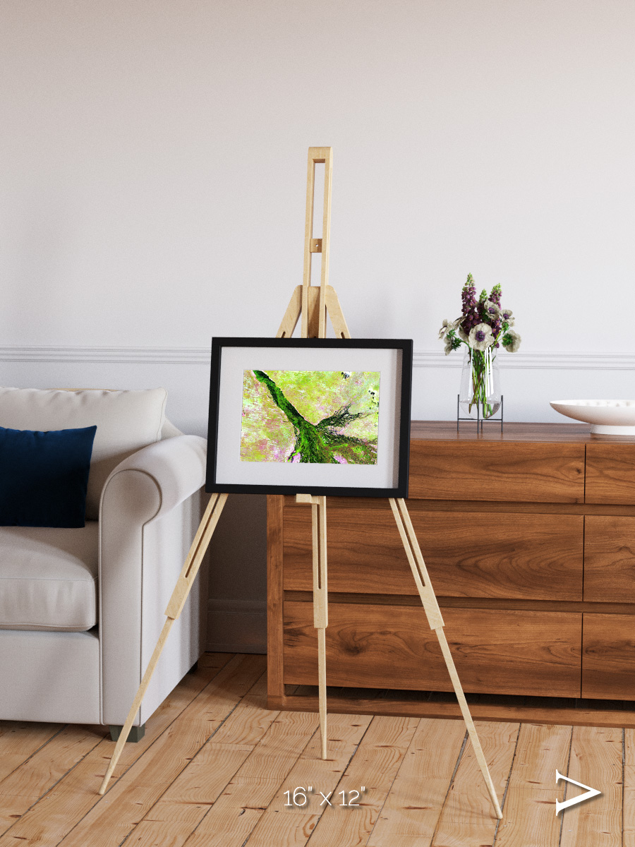 Inland Bloom, Okavango Framed & Mounted Print