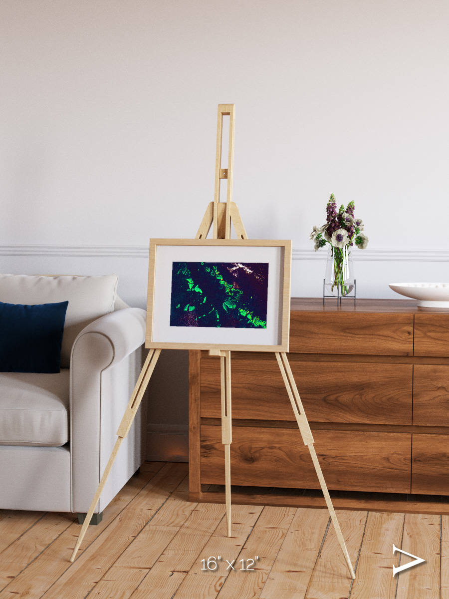 Patterned Ground, Great Barrier Reef Framed & Mounted Print