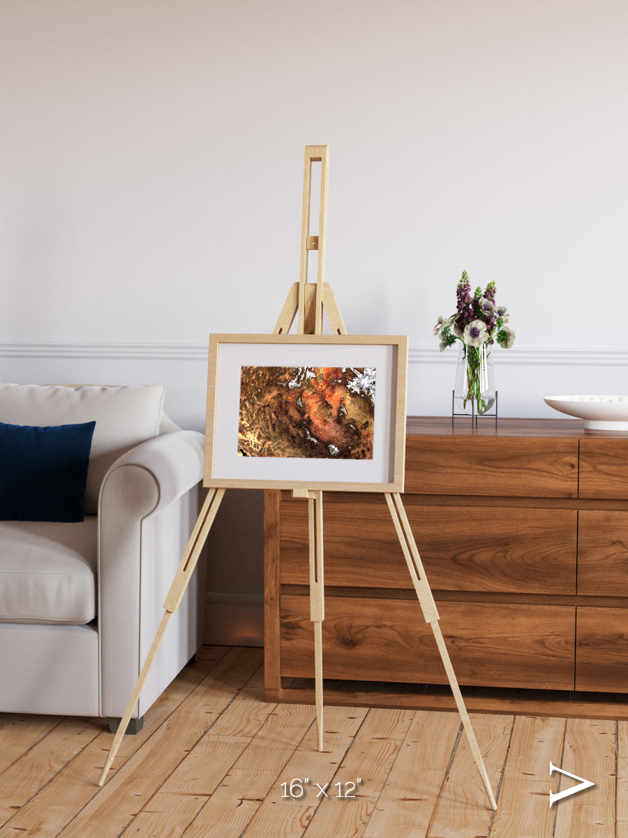 Sunlit Dunes, North America Framed & Mounted Print