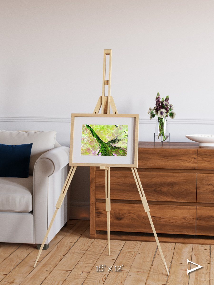 Inland Bloom, Okavango Framed & Mounted Print