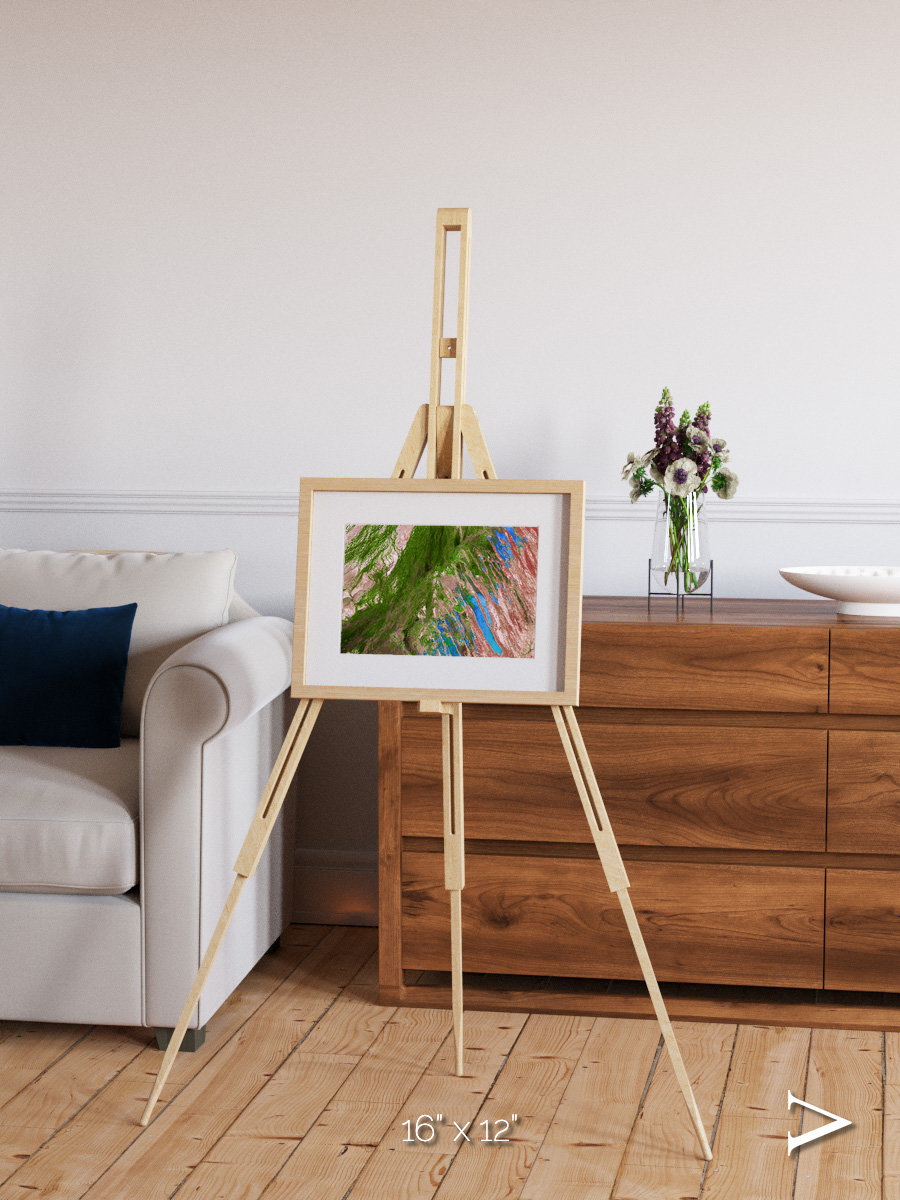 Desert Bloom, Lake Eyre Basin Framed & Mounted Print