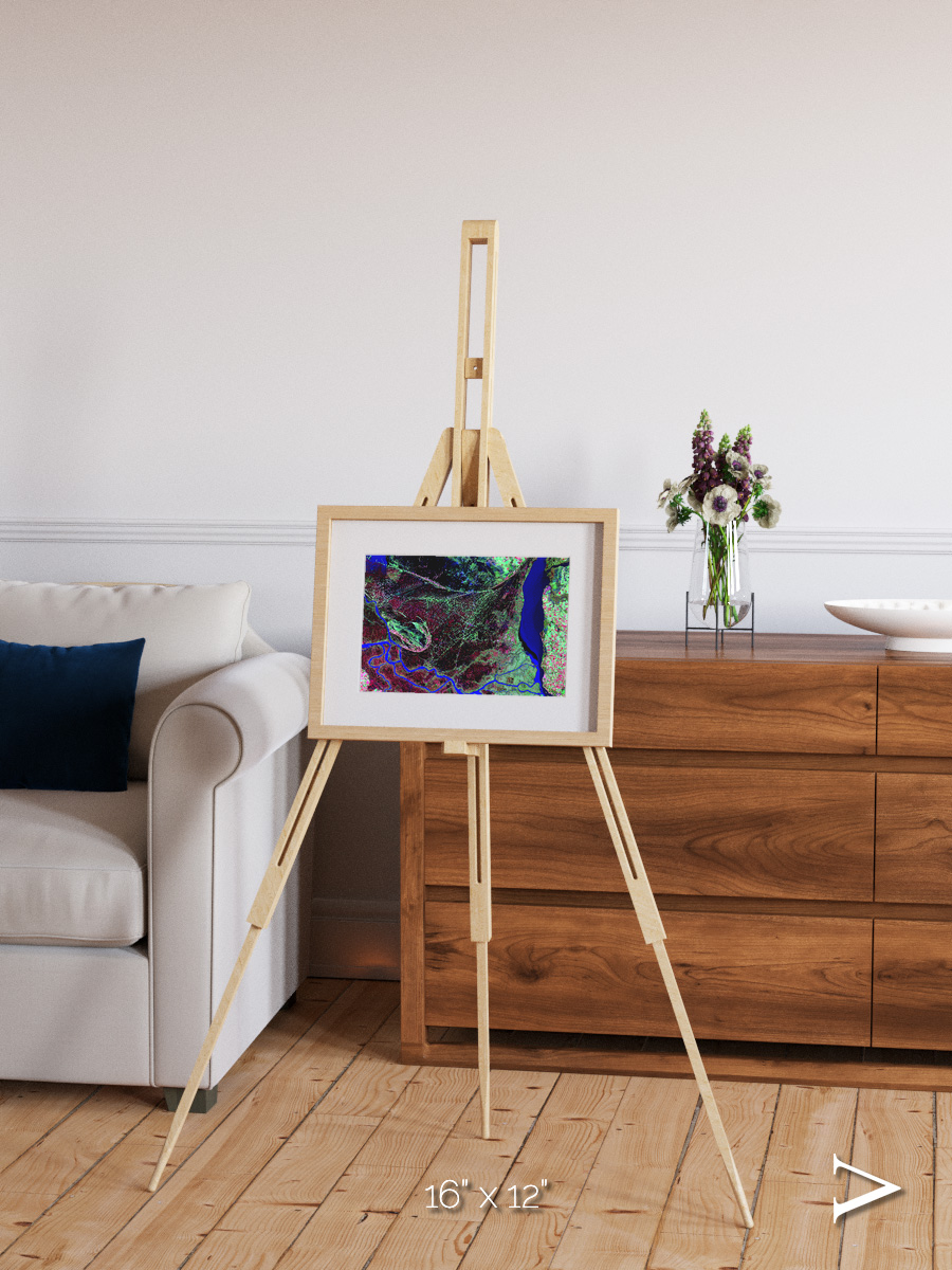 Braided Delta, Parana River Delta Framed & Mounted Print