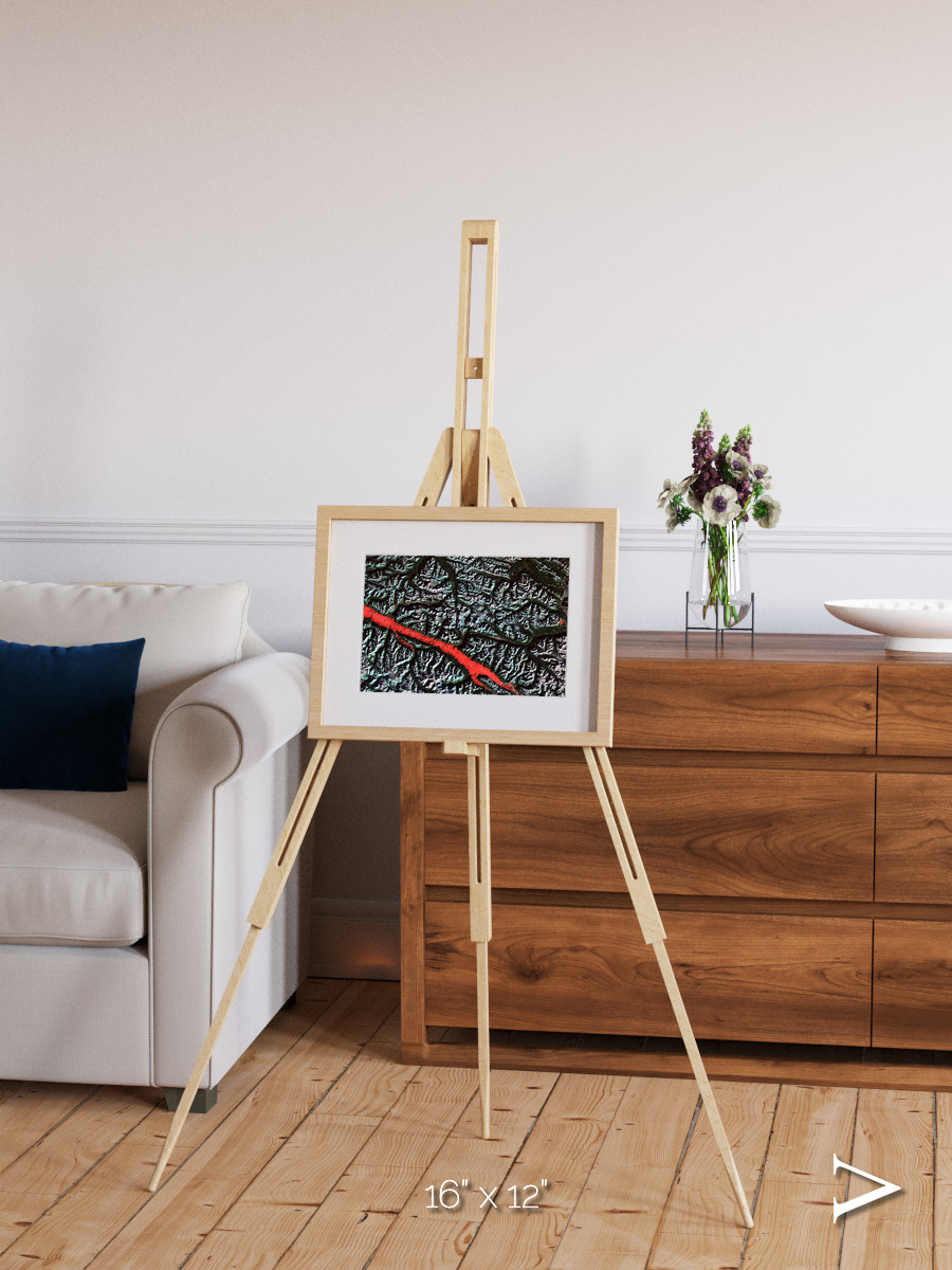 Light in the Trench, Canadian Rockies Framed & Mounted Print