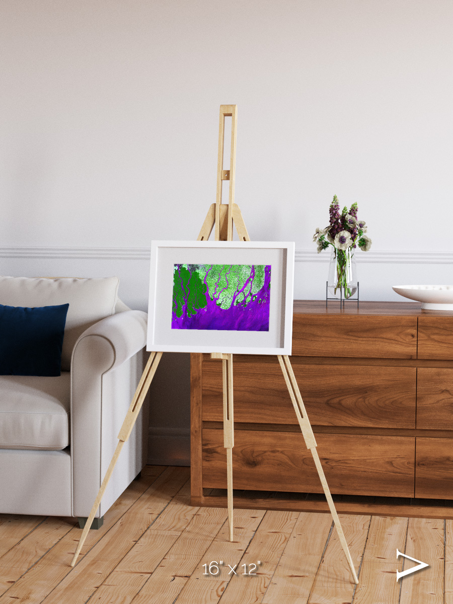 Delta Mosaic, Ganges River Delta Framed & Mounted Print