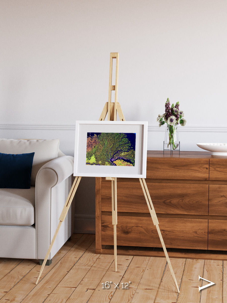 Delta Mosaic, Lena Delta Framed & Mounted Print