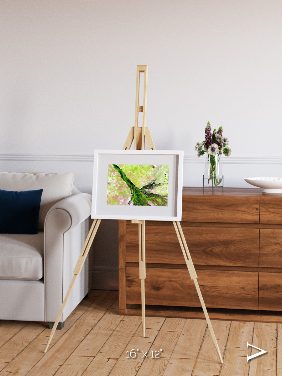 Inland Bloom, Okavango Framed & Mounted Print