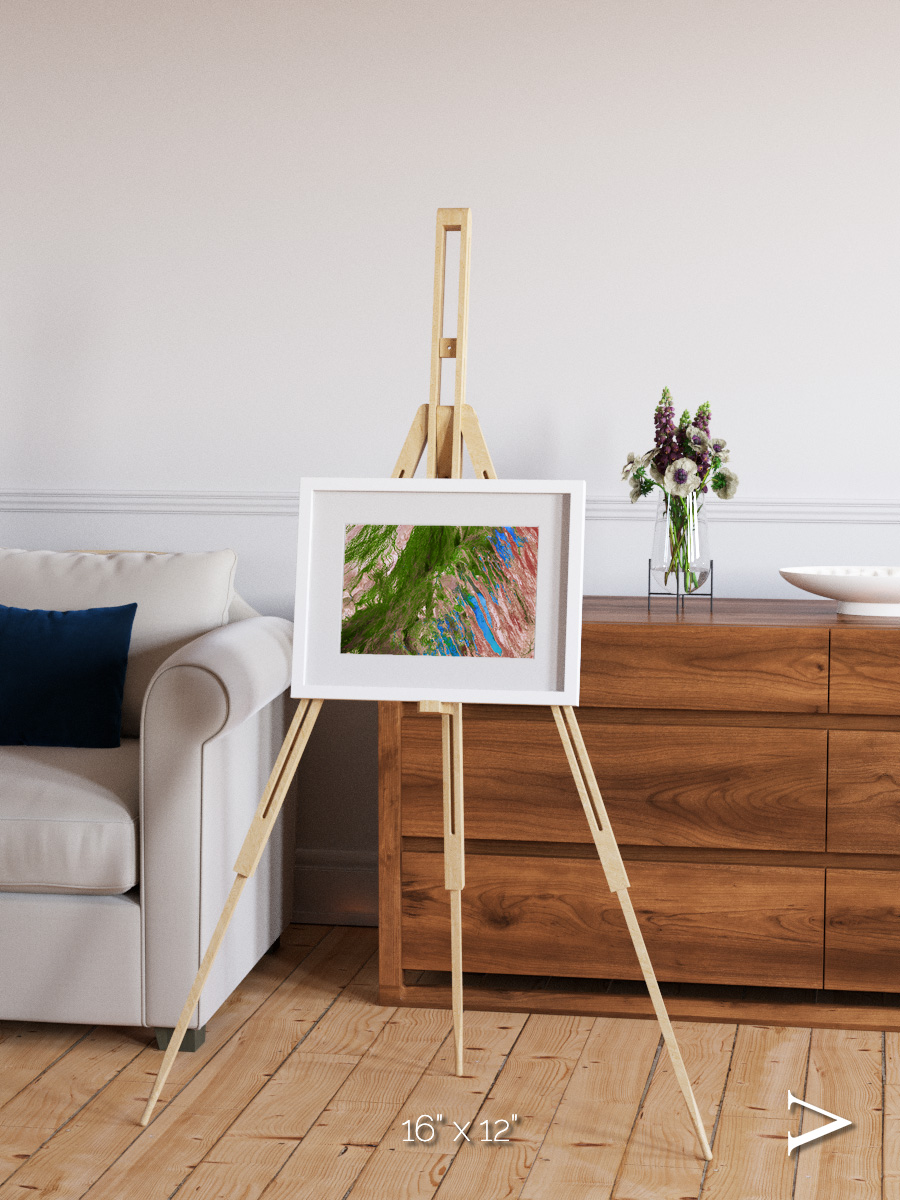 Desert Bloom, Lake Eyre Basin Framed & Mounted Print