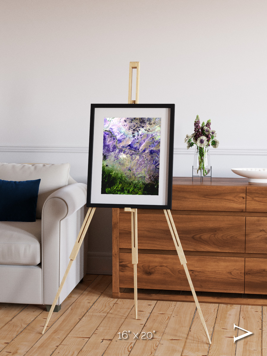 Arid Mosaic, Desert to Forest Framed & Mounted Print