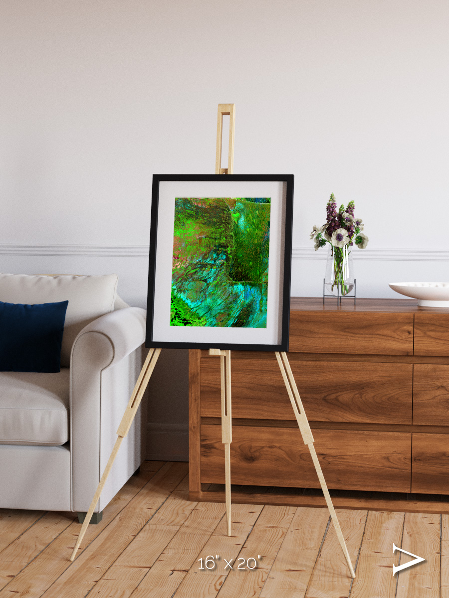 Linear Dunes, Florida Everglades Framed & Mounted Print