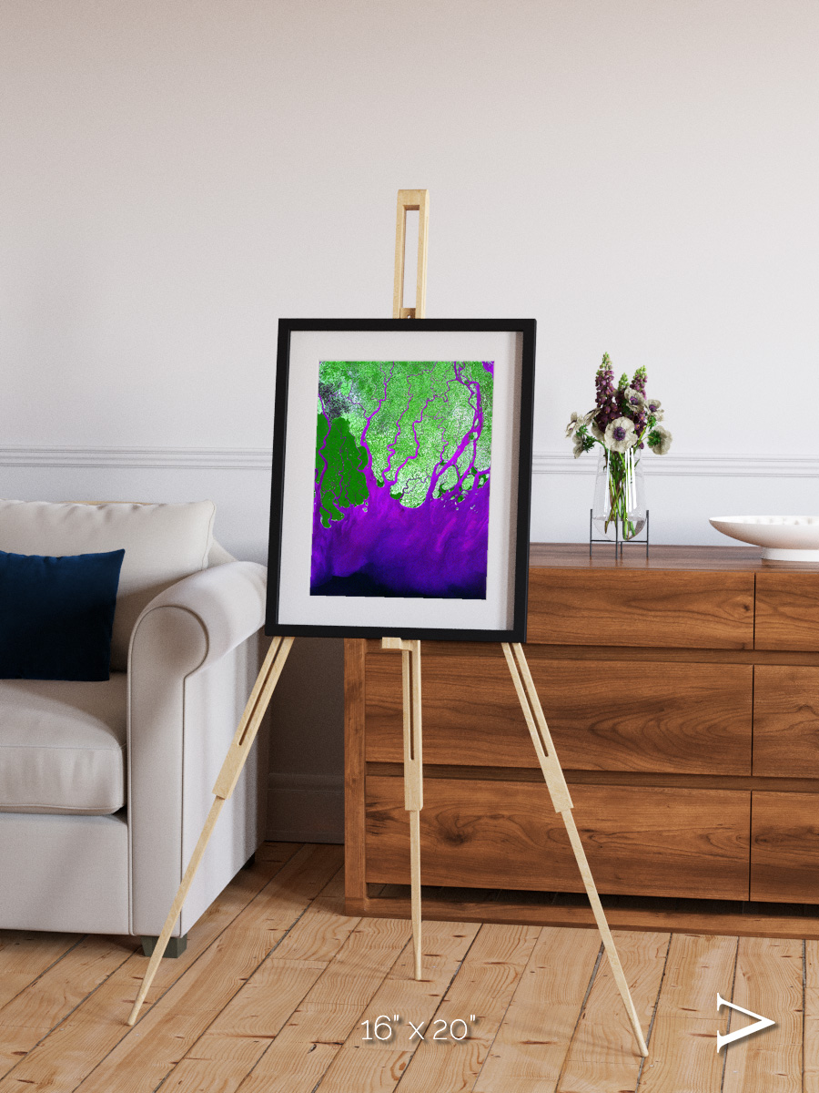 Delta Mosaic, Ganges River Delta Framed & Mounted Print