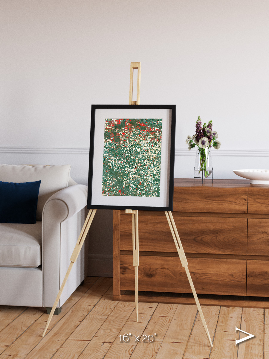 Patterns of Growth, Garden City Framed & Mounted Print