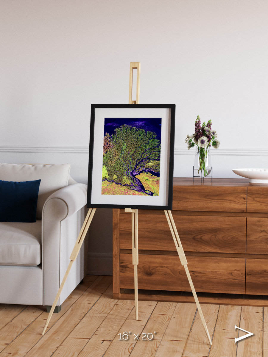 Delta Mosaic, Lena Delta Framed & Mounted Print
