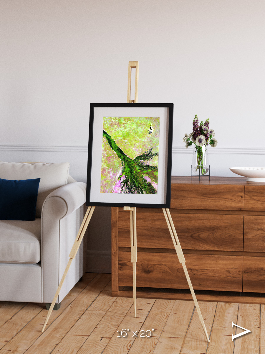 Inland Bloom, Okavango Framed & Mounted Print