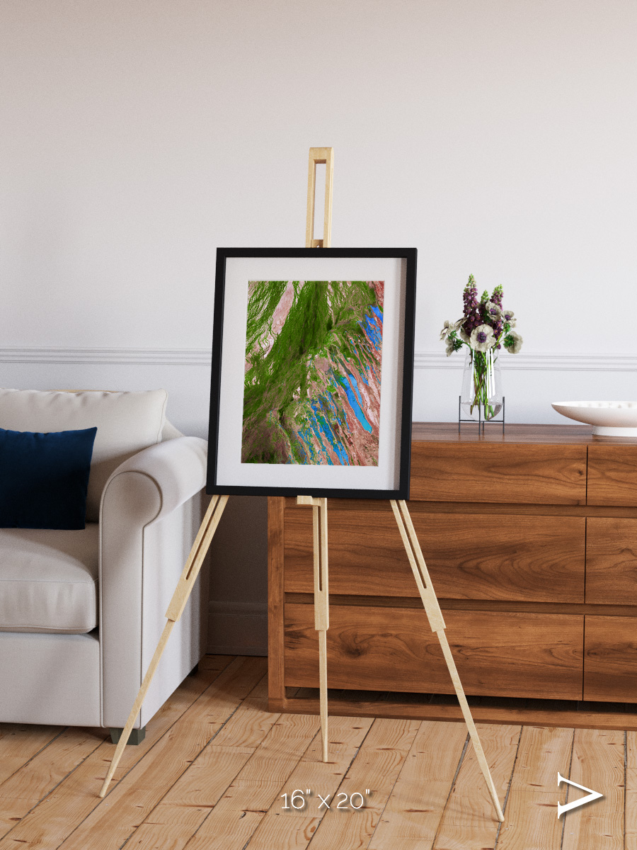 Desert Bloom, Lake Eyre Basin Framed & Mounted Print