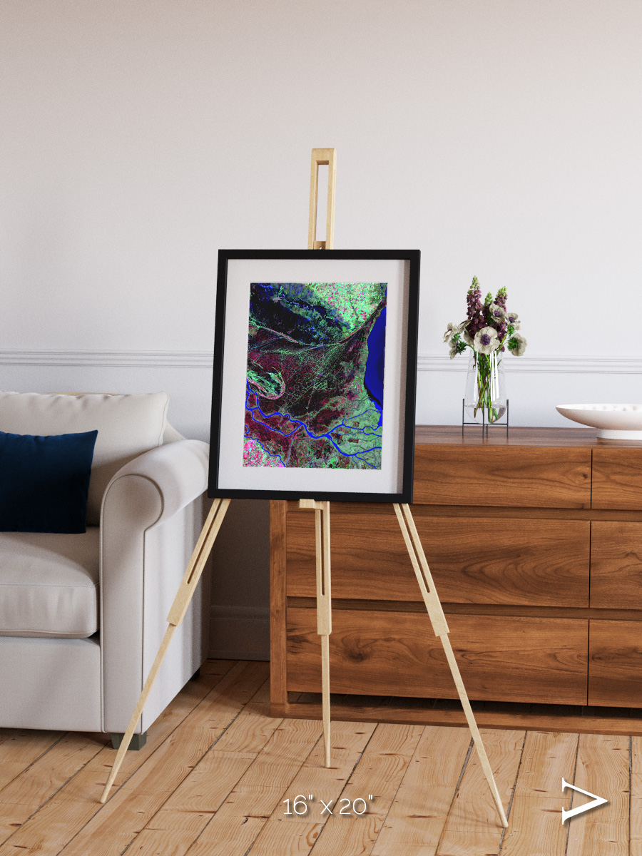 Braided Delta, Parana River Delta Framed & Mounted Print
