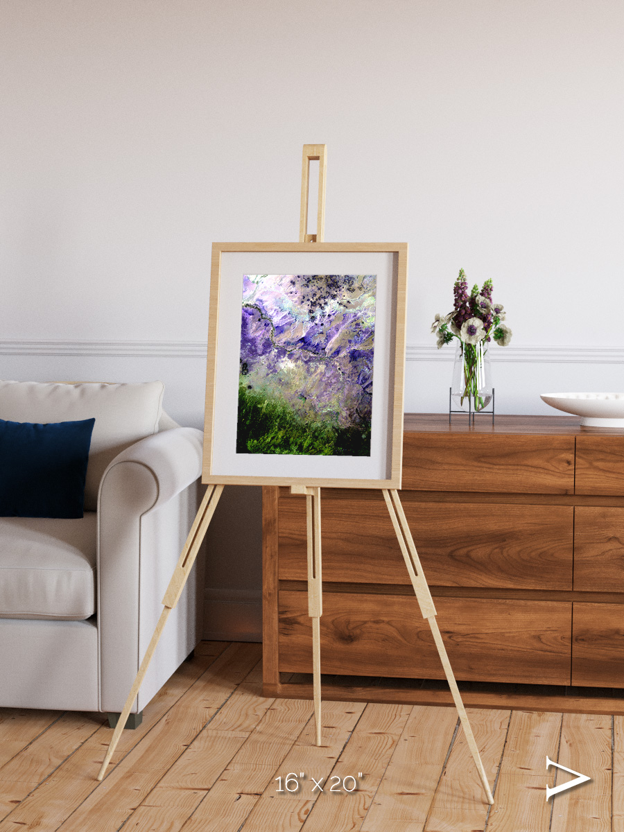Arid Mosaic, Desert to Forest Framed & Mounted Print