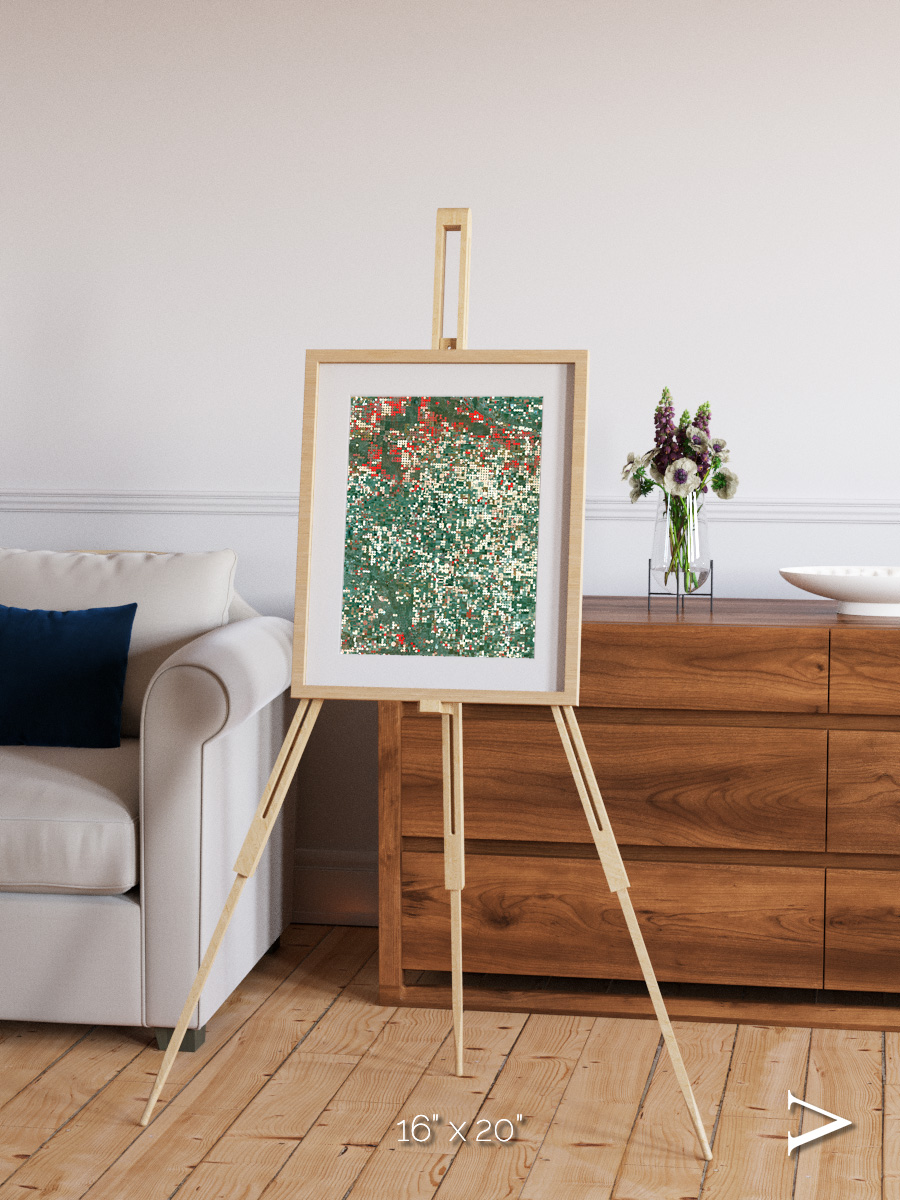 Patterns of Growth, Garden City Framed & Mounted Print