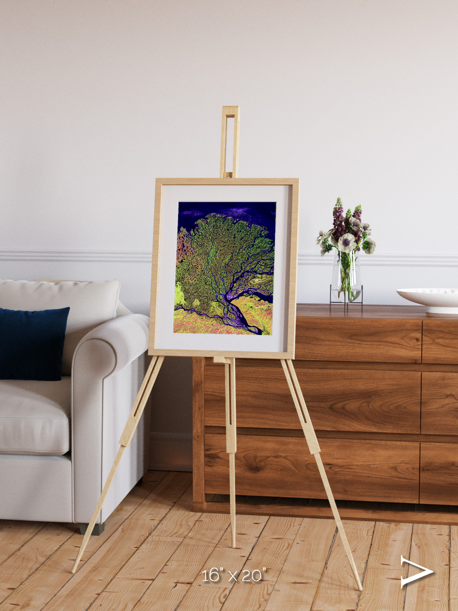 Delta Mosaic, Lena Delta Framed & Mounted Print