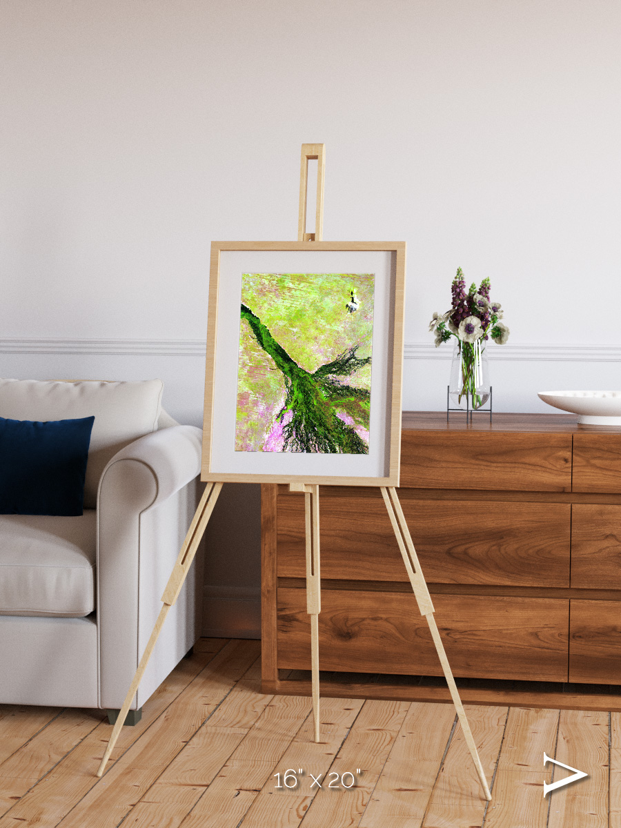 Inland Bloom, Okavango Framed & Mounted Print