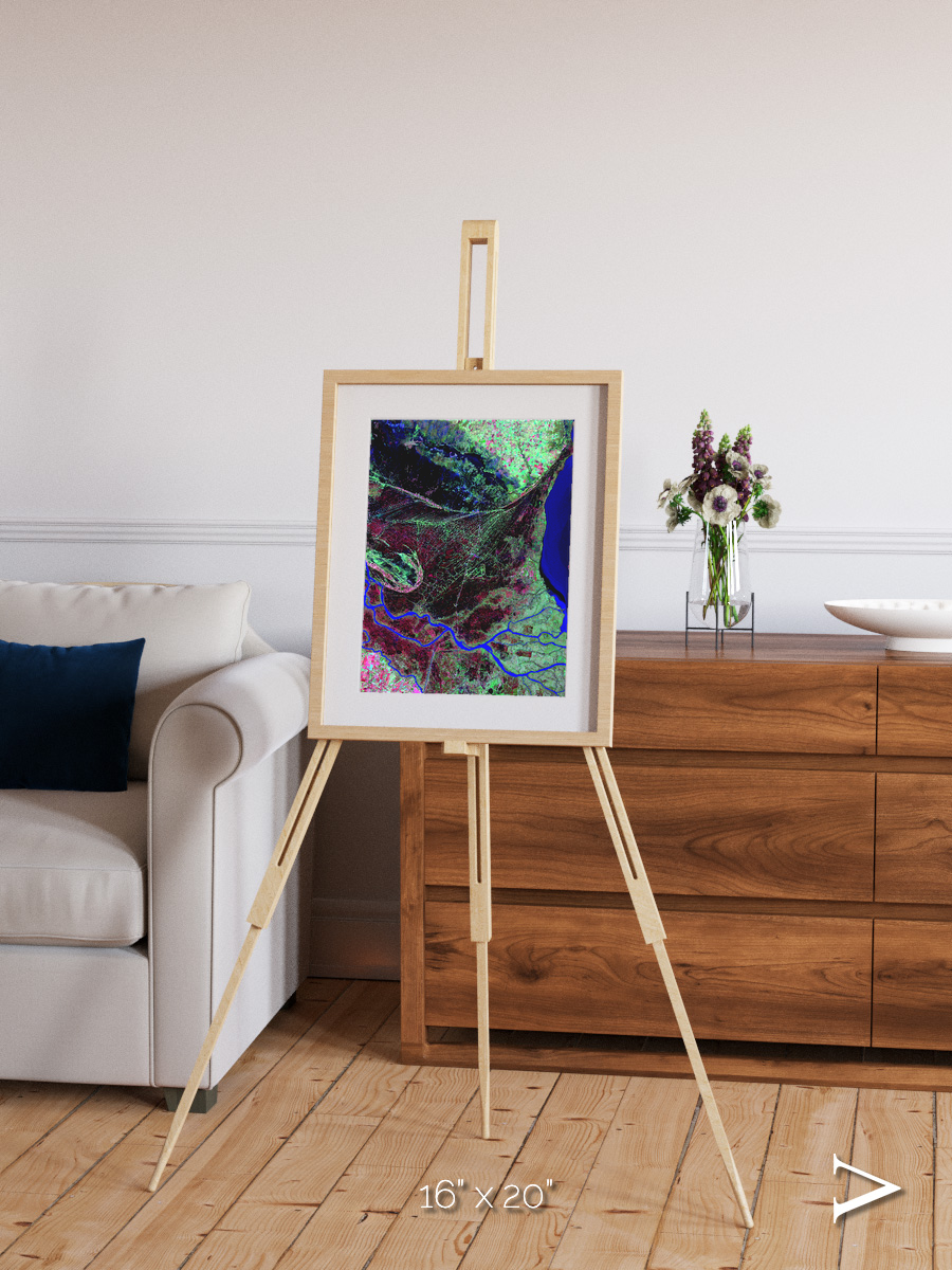 Braided Delta, Parana River Delta Framed & Mounted Print