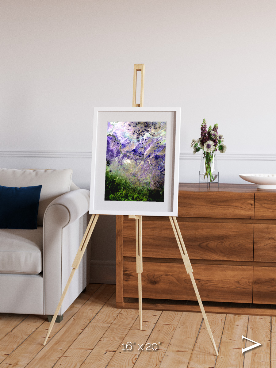 Arid Mosaic, Desert to Forest Framed & Mounted Print