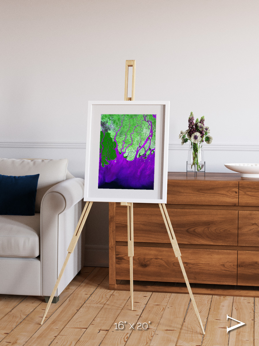 Delta Mosaic, Ganges River Delta Framed & Mounted Print