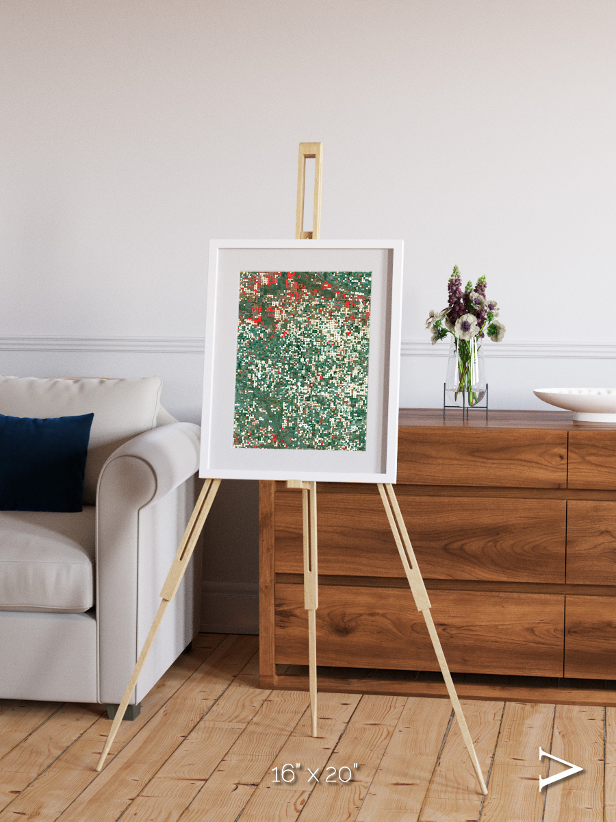 Patterns of Growth, Garden City Framed & Mounted Print