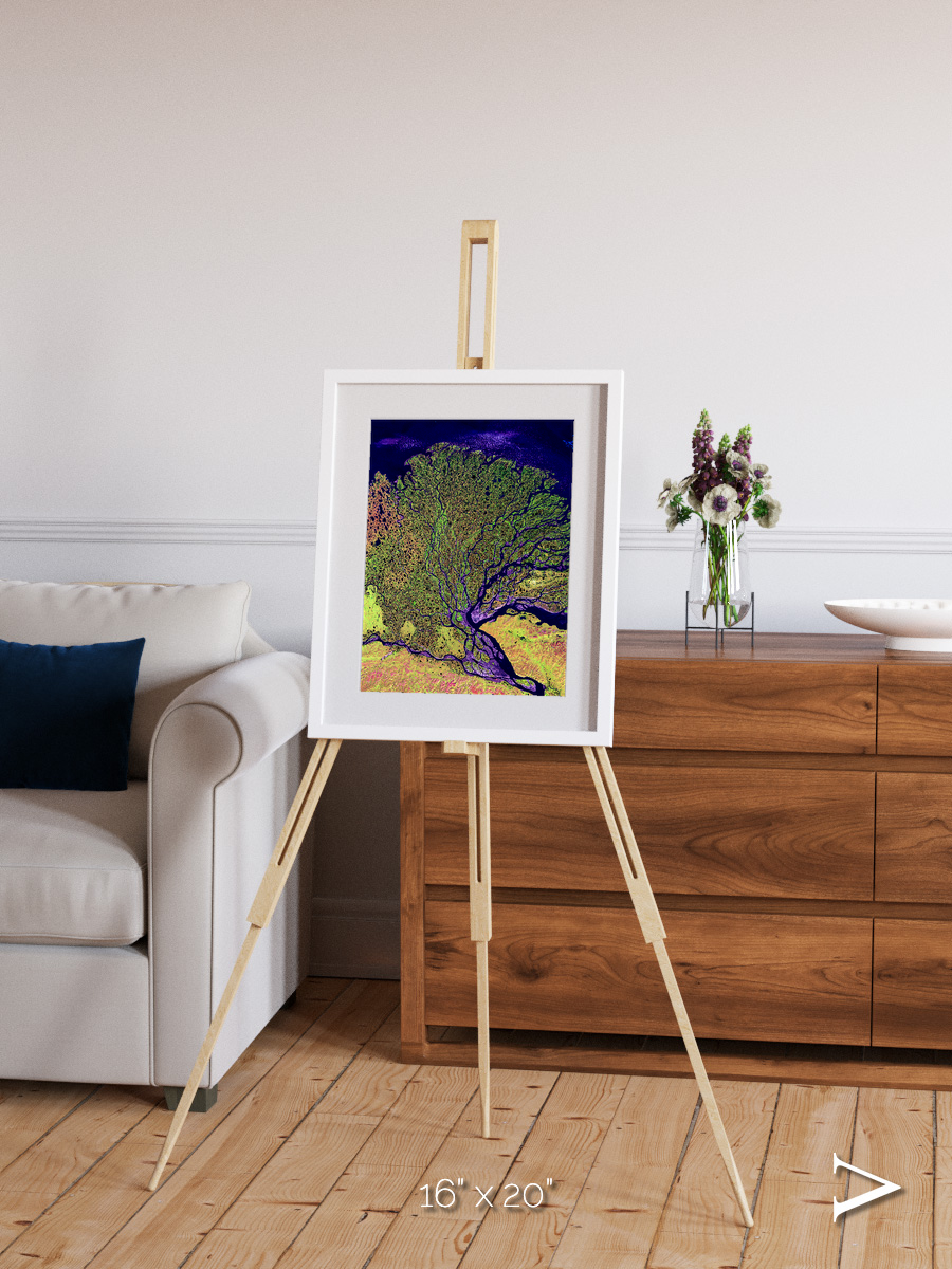 Delta Mosaic, Lena Delta Framed & Mounted Print