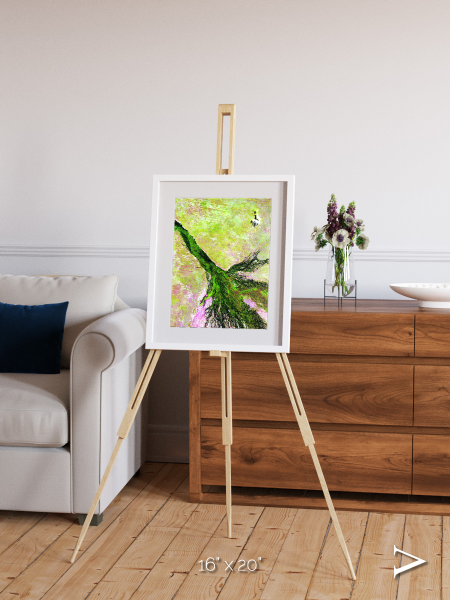 Inland Bloom, Okavango Framed & Mounted Print