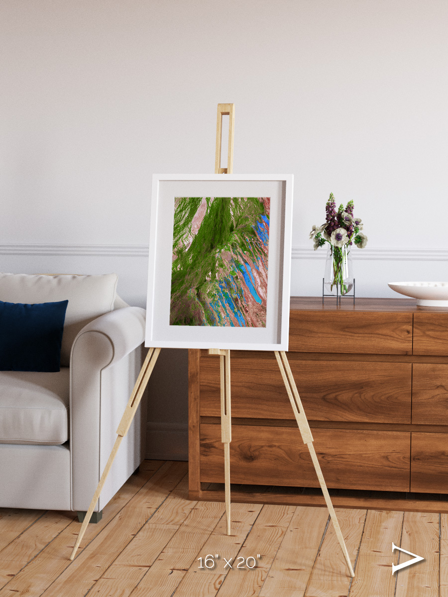 Desert Bloom, Lake Eyre Basin Framed & Mounted Print